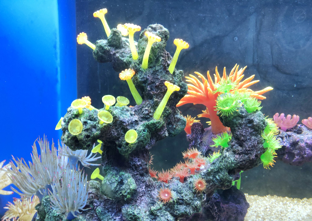 1578108578117294.jpg d1.jpg